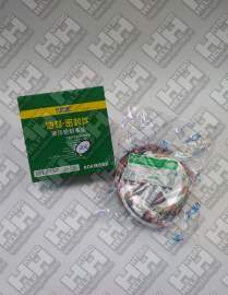 Ремкомплект для гусеничный экскаватор HYUNDAI R320LC-7 (31Y1-19090, S631-130004, 
S632-085004, 
Y171-024004, Y310-140000, Y220-100011, Y180-100020, 
S641-130003, 
S642-085003, Y240-100013, Y110-100011, Y000-090000, Y440-140000, Y420-140000)
